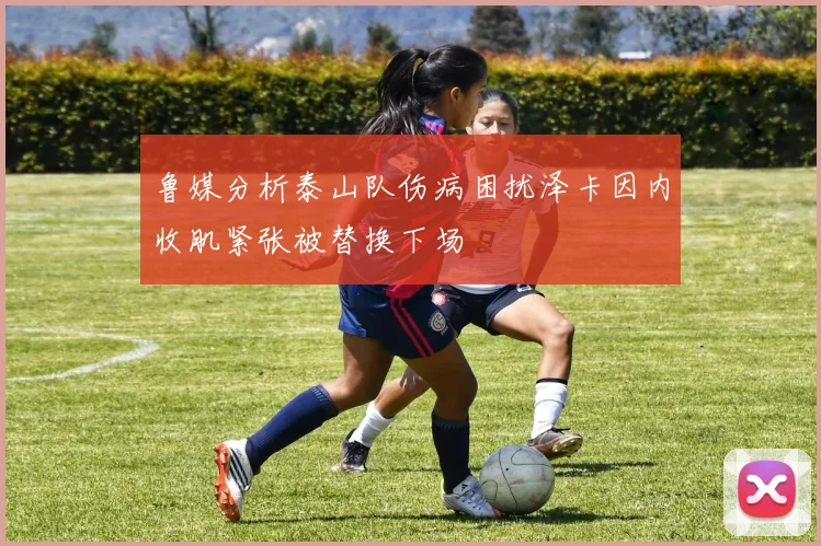 鲁媒分析泰山队伤病困扰泽卡因内收肌紧张被替换下场